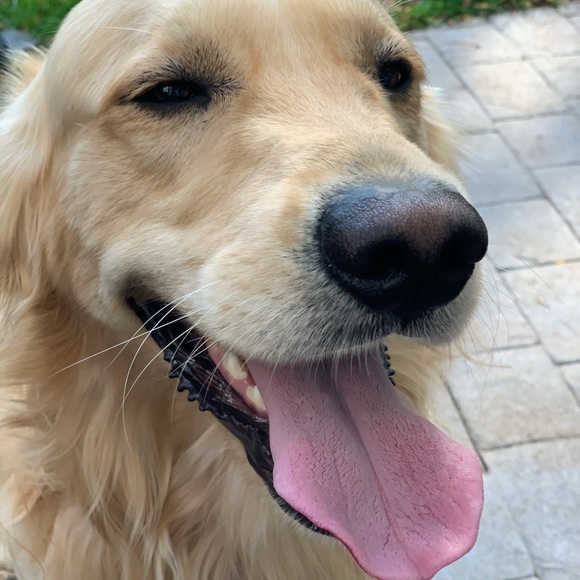 Meet your Posher, Melissa - Picture 1 of 1